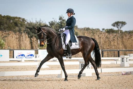 Silvana Di Teodoro, Black Sterling Performance Warmbloods