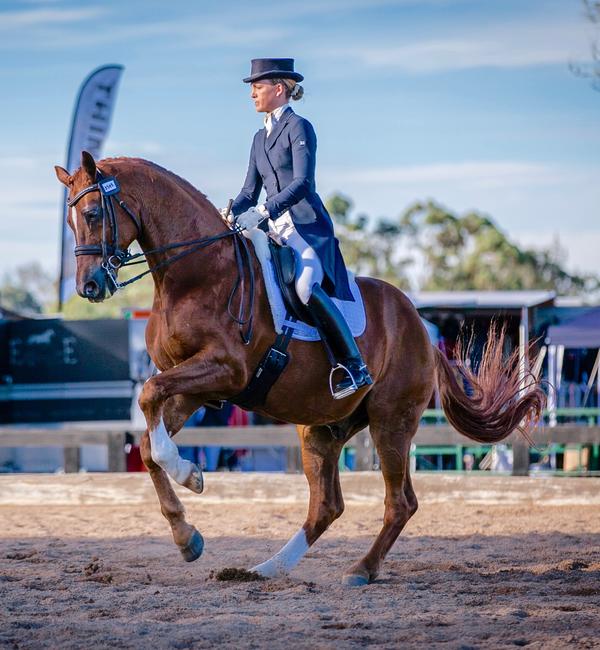 Performance Saddlefits - saddlefit in Australia