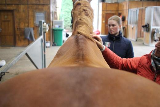 Module 2: Basic Saddle Design