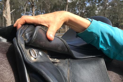 Module 3: Fitting The Rehab Horse – Off The Track Thoroughbred