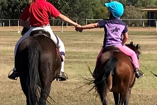 Module 4: Saddle Checking Basics For Pony Club