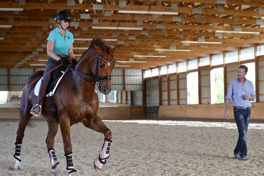 Module 5: Saddle Fitting For Professional Coaches