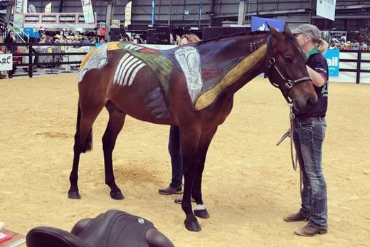 Module 6: Fitting Solutions For The Asymmetric Horse