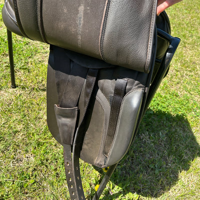 Black Country Show Hunter 17"