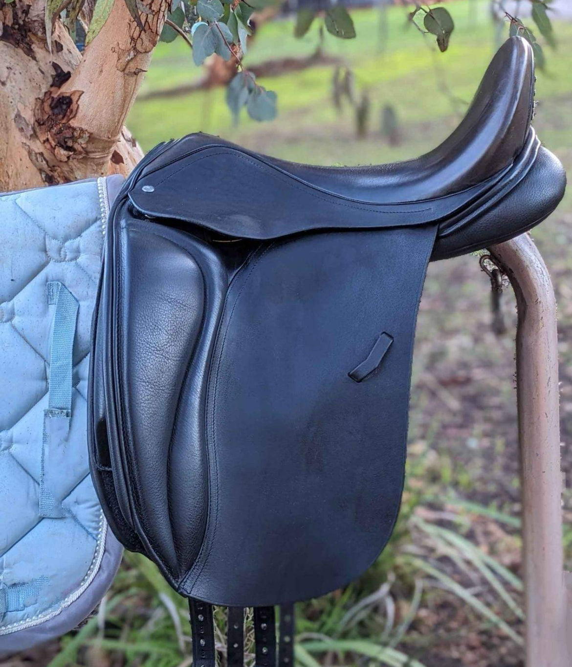 Loxley Dressage 17.5" Black