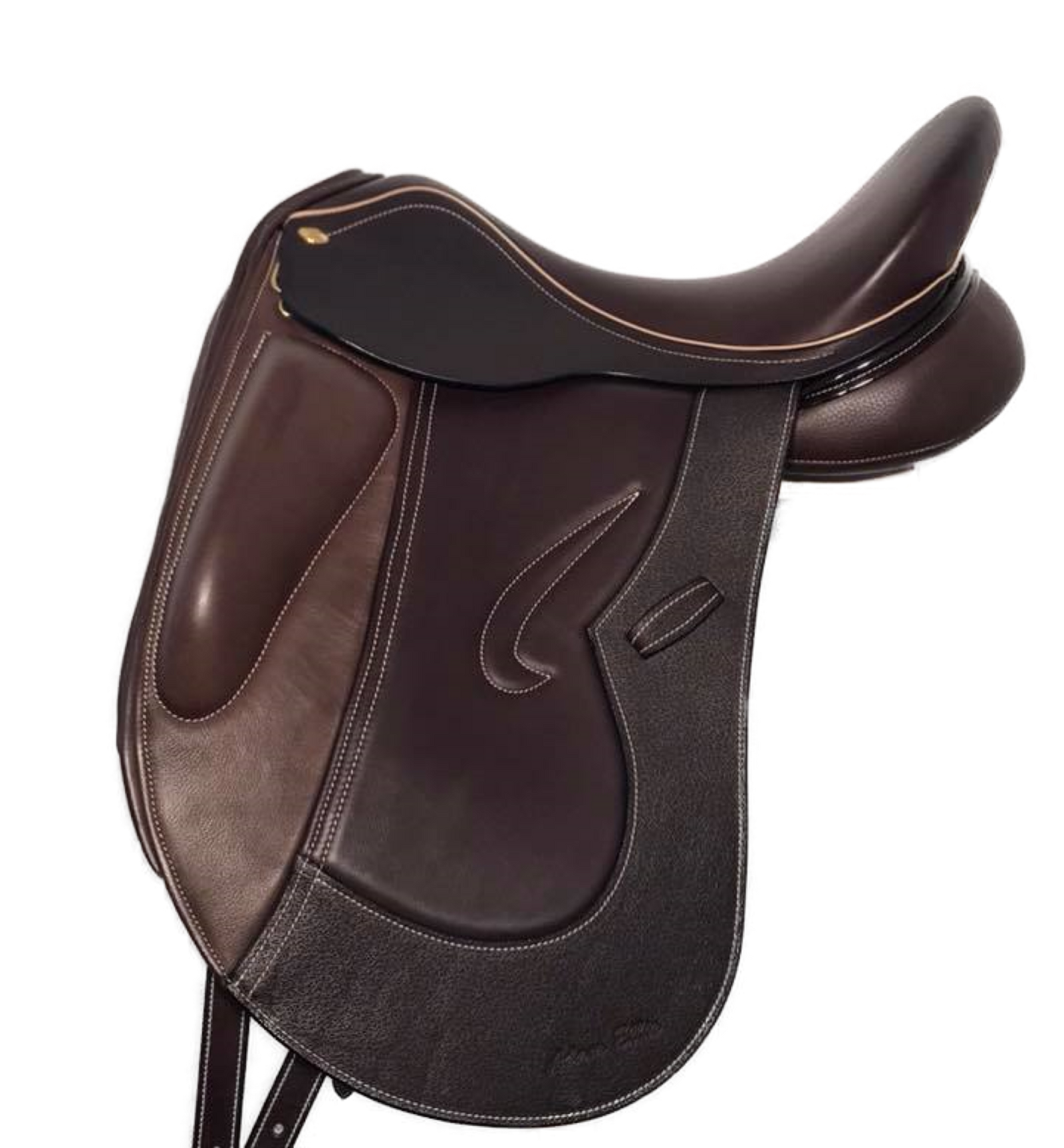 Adam Ellis Paisley dressage